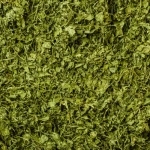 KASTURI METHI