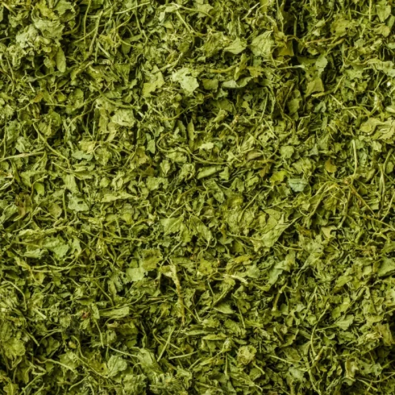 KASTURI METHI